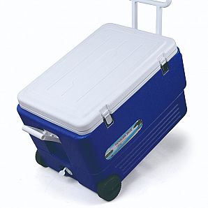 Nevera portátil de 80L con carro